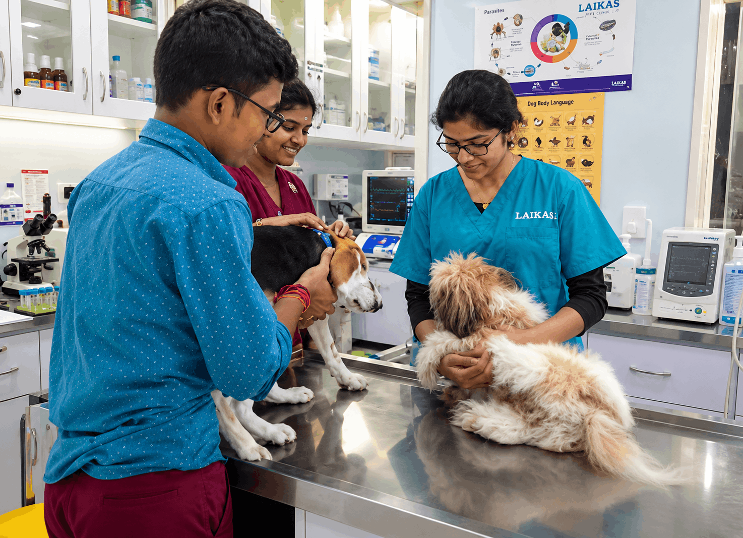 The Complete Guide to Keeping Your Pet Healthy