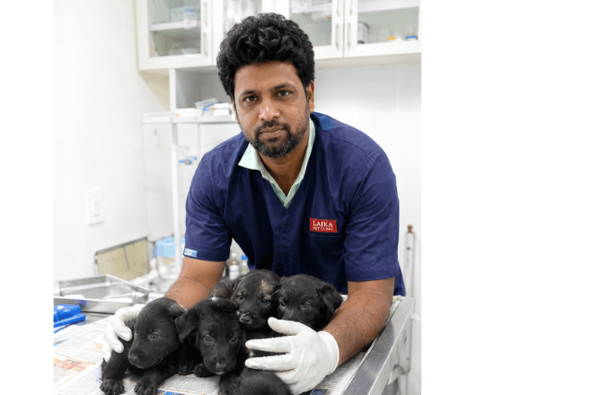 What to Do in a Pet Emergency: A First-Aid Guide