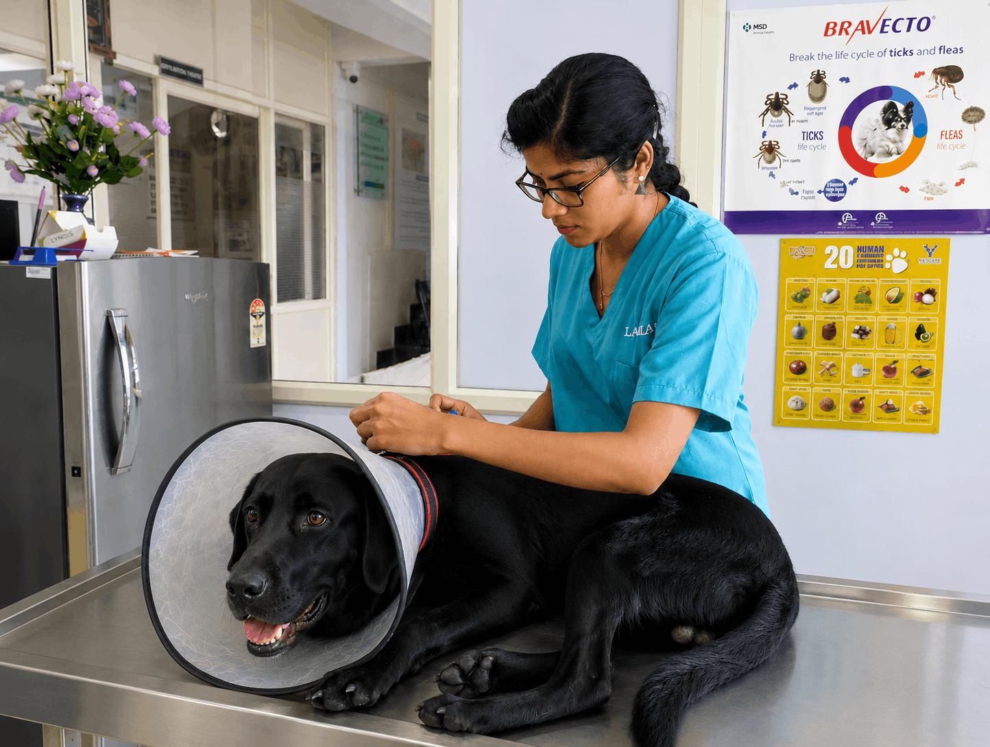 The Importance of Regular Dental Cleaning for Dogs