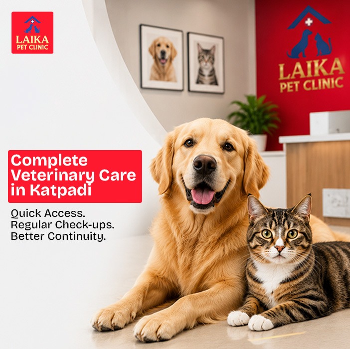Why Choosing a Nearby Veterinary Clinic Benefits Your Pet