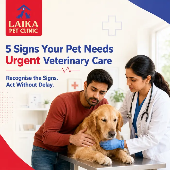 5 Signs Your Dog or Cat Needs to Visit a Veterinary Clinic in Vellore Immediately
