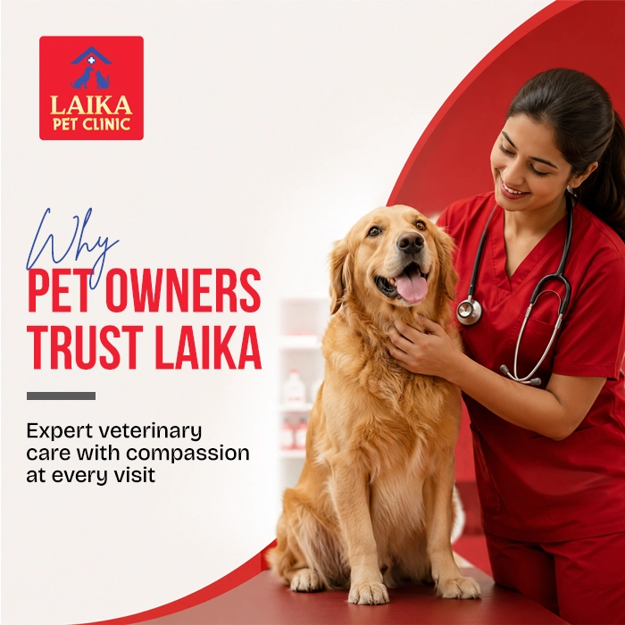 Why Pet Owners Trust Laika Pet Clinic – The Best Pet Clinic in Vellore