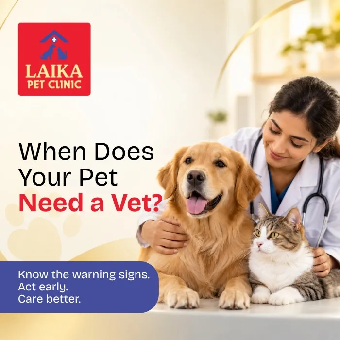 Veterinary Clinic in Vellore: When Should You Take Your Pet to a Vet?