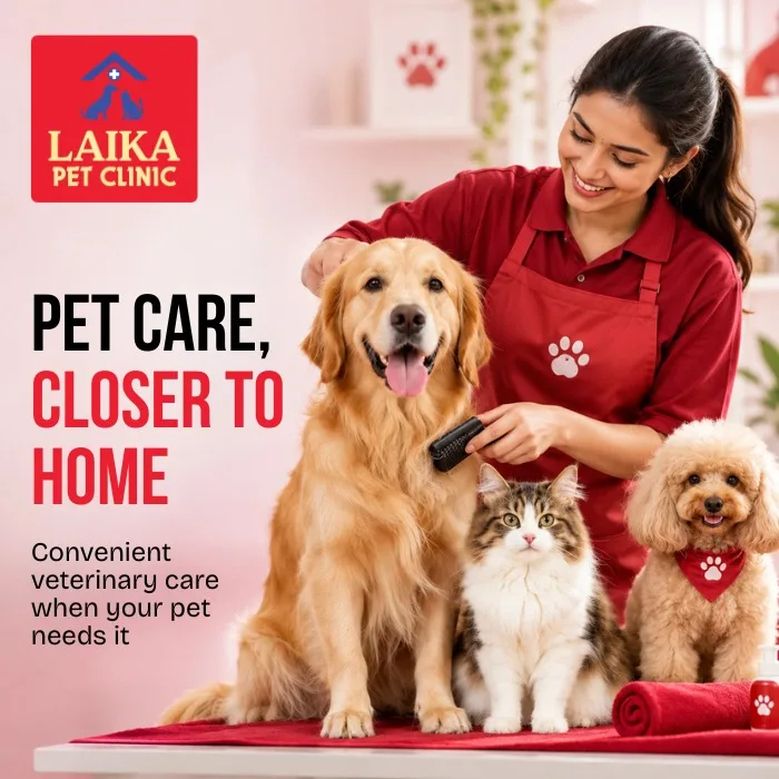 What Is the Purpose of a Veterinary Clinic? A Guide for Pet Owners