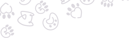 Dog and Cat Clinic Vellore
