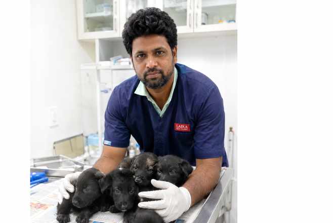 Dog and Cat Clinic Vellore