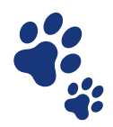 Dog and Cat Clinic Vellore