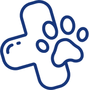 Dog and Cat Clinic Vellore