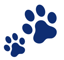 Dog and Cat Clinic Vellore