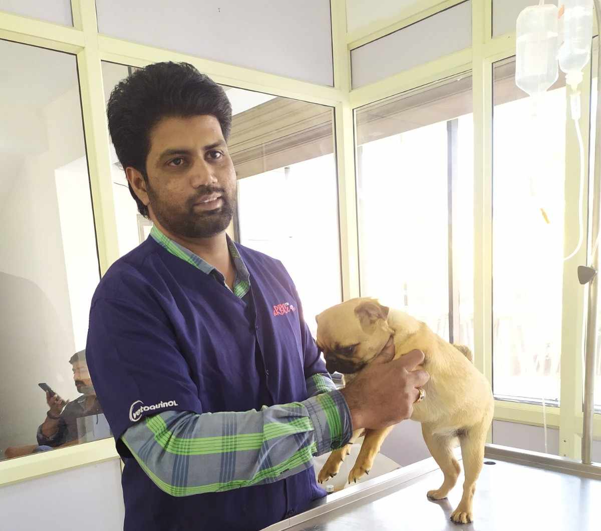 Dog and Cat Clinic Vellore