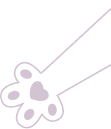 Dog and Cat Clinic Vellore