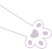 Dog and Cat Clinic Vellore