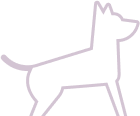 Dog and Cat Clinic Vellore