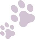 Dog and Cat Clinic Vellore